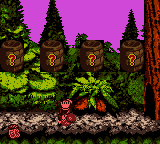 The first Bonus Area of Forest Frenzy in the Game Boy Color version of Donkey Kong Country