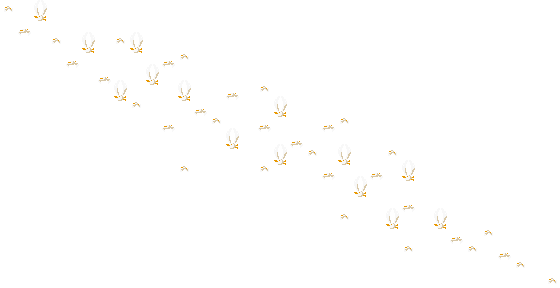 Animation of a flock of Goonies seen in the background of some stages in Super Mario World 2: Yoshi's Island; this is all a single layer of background rather than a collection of smaller sprites.
