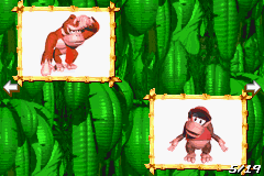 File:DKC Scrapbook Page5.png