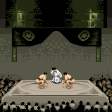 Luigi's photograph of a sumo wrestling tournament in the Kokugikan Arena