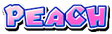 Peach's name from Mario Kart Arcade GP 2
