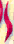 File:SMS Delfino Script I.png