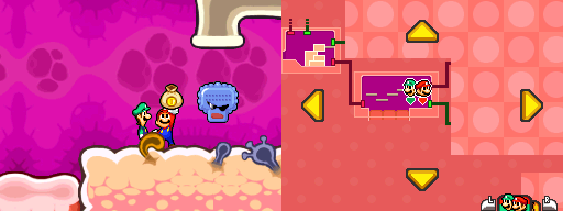 Mario and Luigi getting a coin bag containing 50 Coins from a Nutsoglobin in Flab Zone of Mario & Luigi: Bowser's Inside Story.