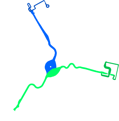 File:Shy Guy Bazaar Version 2 Routes.png