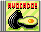 Avocado Song album cover