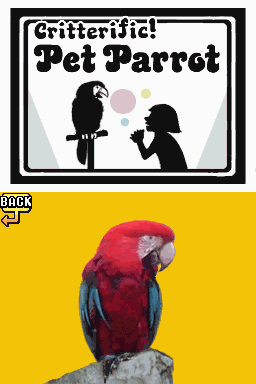 Screenshot of Pet Parrot