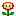 Torchflower (Fire Flower)