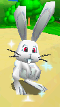 File:SM64DS Glowing Rabbit Screenshot.png