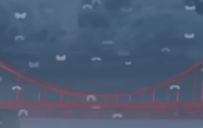 File:MKWorld Flies.png