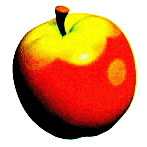 YS Apple Artwork.png