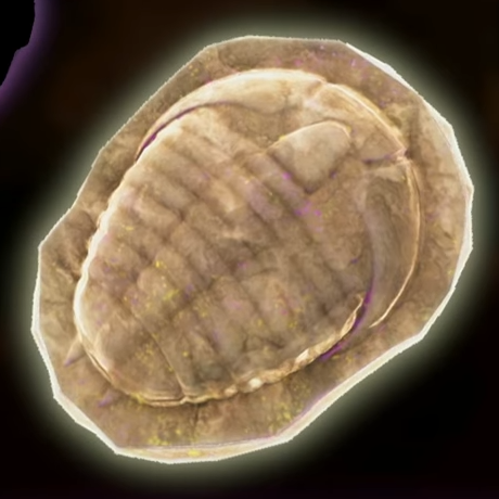 File:DKB Fossil Trilobite.png