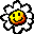 Special Flower