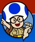 File:SM3DWBF Hint Toad Icon.png