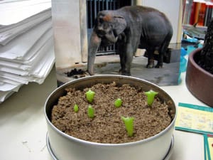 File:9-Volt no Nintendo Honsha Sen'nyū Report 14.jpg