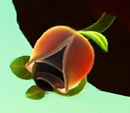 File:HardSeed YATMB.png