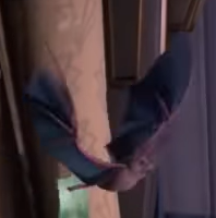 Bat (Luigi's Mansion series)