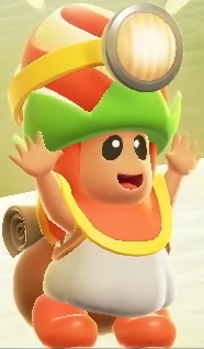 SMBW NS2E Poplin Recruit.png