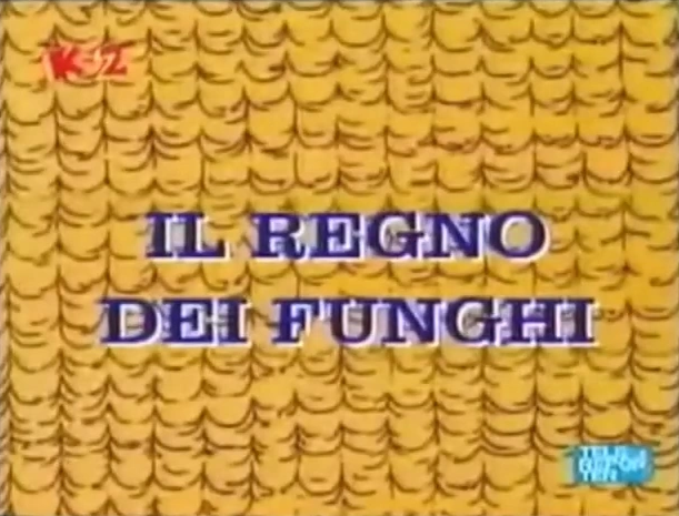 File:TAOSMB3 Princess Toadstool for President title card ITA.png