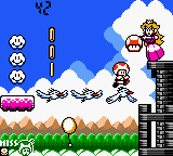 mario golf toadstool tour target bullseye