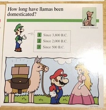 File:Llamas domesticated quiz card.jpg