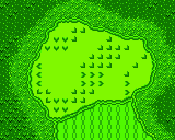 The green from Hole 17 of the Marion Club from the Game Boy Color Mario Golf