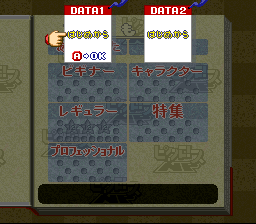 File:Picross NP Data.png