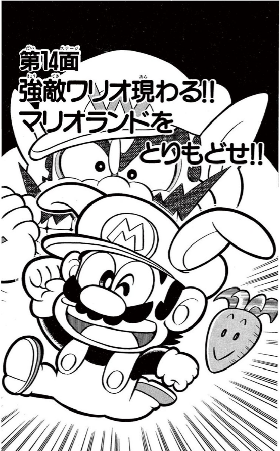 Filesmkun 6 Chapter 14png Super Mario Wiki The Mario Encyclopedia 1552