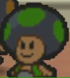 File:PM Koopa Bros Toad Green.png