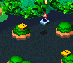 First 10-Coin found in the first scene of Rose Way of Super Mario RPG: Legend of the Seven Stars.