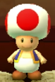 Toad as viewed in the Character Museum from Mario Party: Star Rush