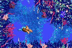 File:DKC3 GBA May 05 prototype Ripcurl Reef Lurchins.png