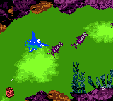File:PoisonPond GBC 1.png
