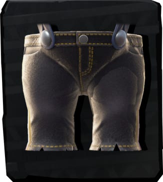 File:DKB Poison-Proof Britches icon.jpg