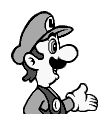 SMBDX Luigi.png