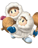 File:SSBB Icon fighter preview Ice Climbers c6.png