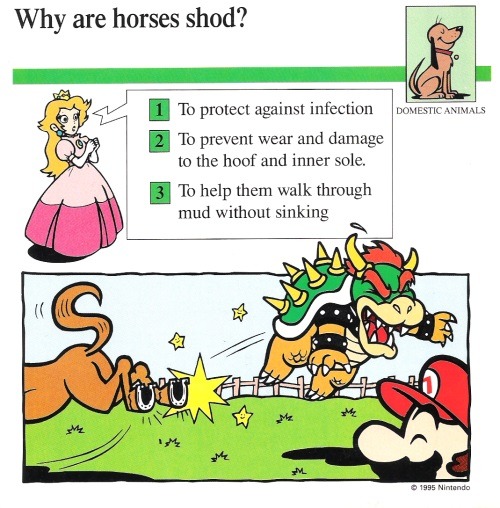 File:Horses shod quiz card.jpg