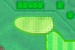 The green from Hole 5 of the Mushroom Course from Mario Golf: Advance Tour