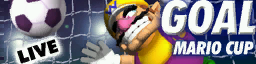 File:SMS Unused Banner Mario Cup WR.png