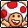 File:BSMB Toad Icon.png