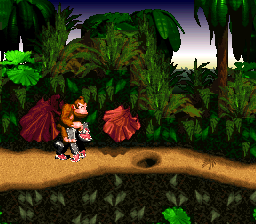 File:DKC second character glitch.png