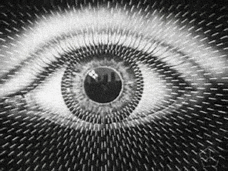 Eye illusion thing. PUBLIC DOMAIN