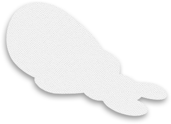 File:Colorless Toad.png