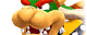 Bowser-CSS-MSM.png