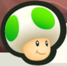 File:SMBW NS2E Icon Brigade Green Toad.png