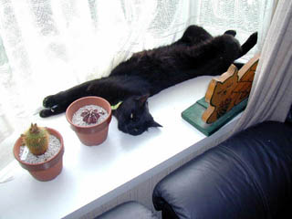 File:Kat to Ana no Midikana Ikimono part 3 picture 8.jpg