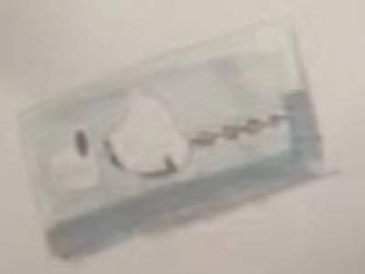 File:SMB3 Concept Art Chain Chomp 1.jpg