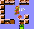 A glitch from Super Mario Bros.: The Lost Levels.