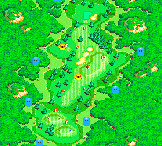 Hole 9 of the Star Marion Course from Mario Golf: Advance Tour