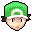 A stock icon from Super Smash Bros. Brawl