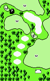 Map of a hole from Golf on the Game Boy when played on the Game Boy Color or Game Boy Advance